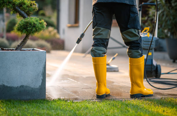 Best Pressure Washing Siding  in High Springs, FL